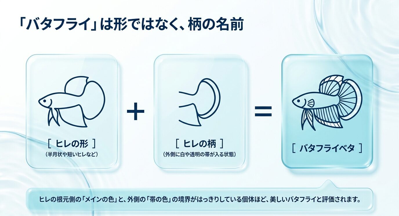 ベタのヒレの形とヒレの柄を組み合わせてバタフライベタになることを示した図解