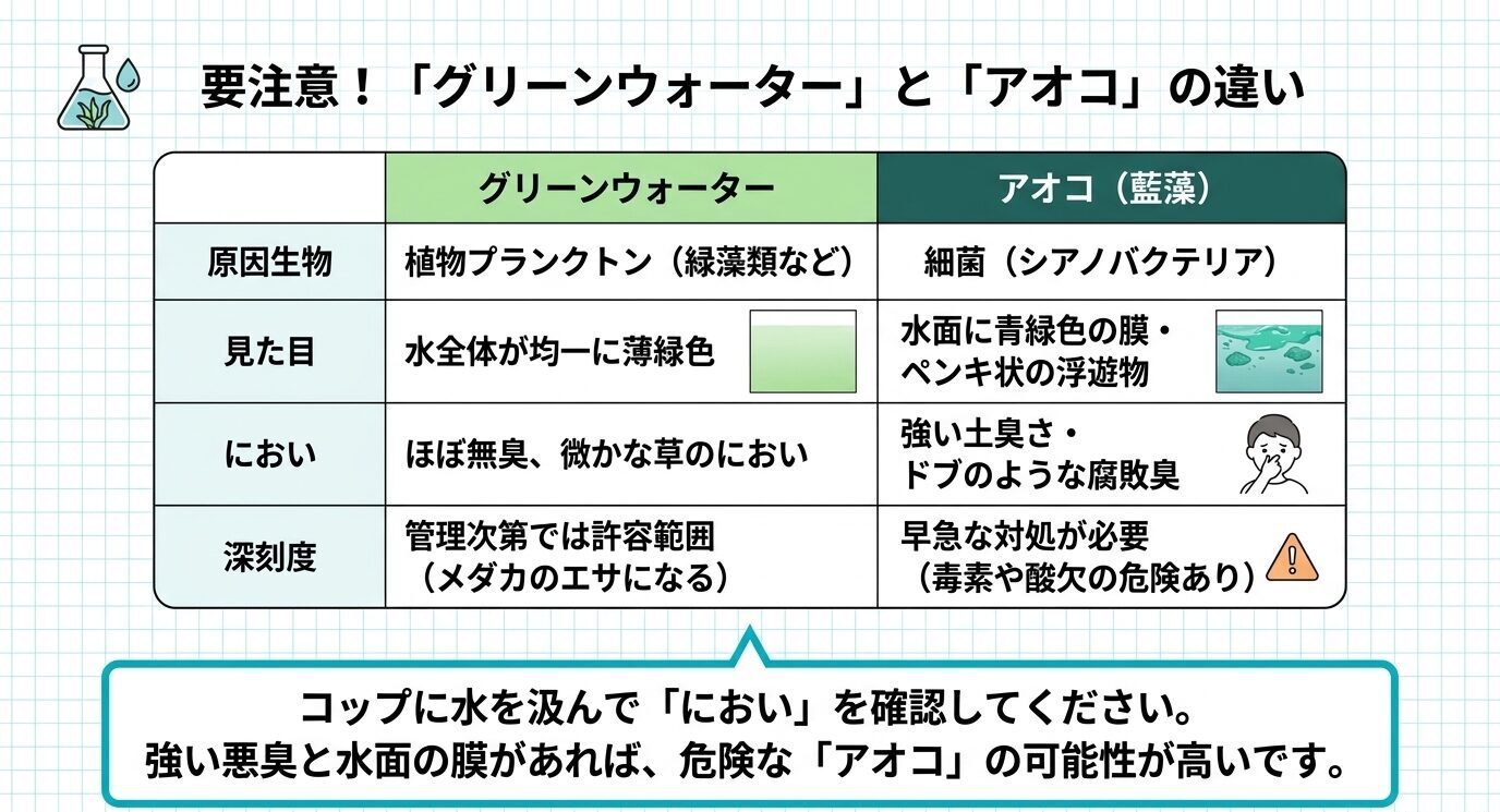 グリーンウォーターとアオコについて、原因生物、見た目、におい、深刻度の違いを比較し、悪臭や水面の膜がある場合はアオコの可能性が高いと説明した表