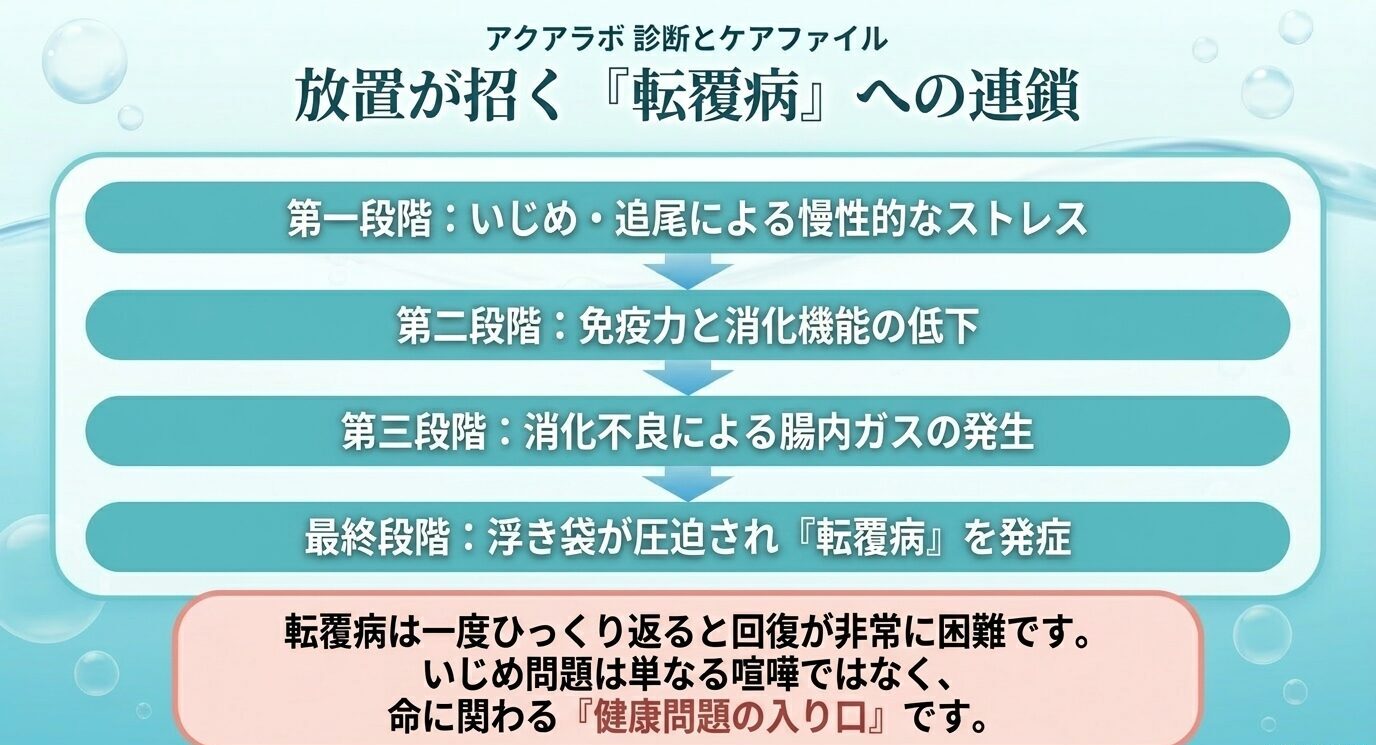 いじめや追尾による慢性的ストレスから消化機能低下、腸内ガス発生、浮き袋圧迫、転覆病発症までの連鎖を示す図