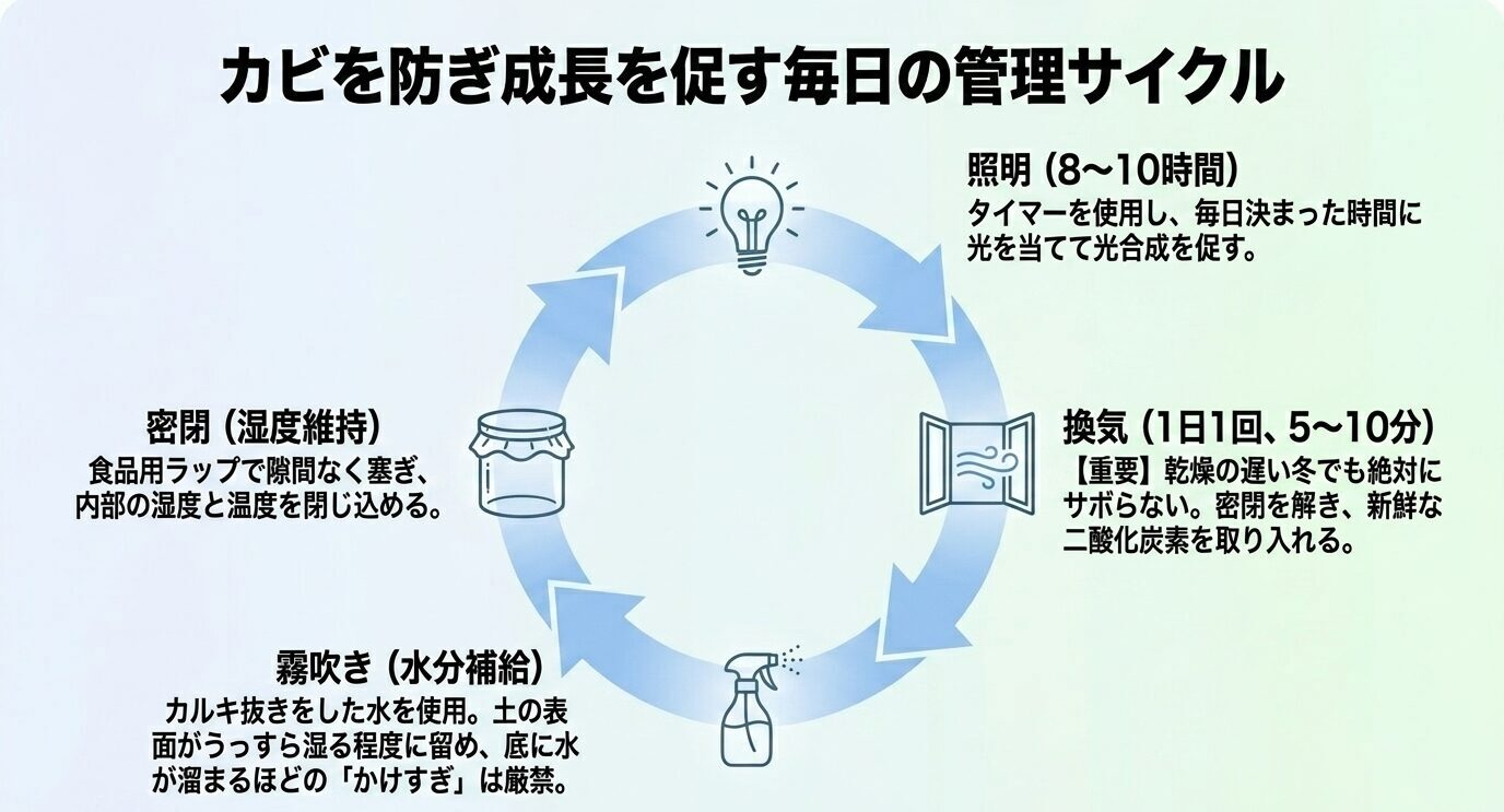 照明8〜10時間、1日1回5〜10分の換気、霧吹き、ラップによる密閉を循環させる冬のミスト式管理サイクル