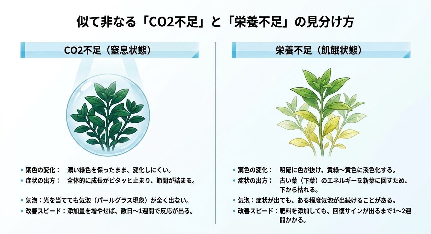 CO₂不足では葉色が濃いまま成長が止まり、栄養不足では黄化や下葉の枯れが出やすいことを比較した図