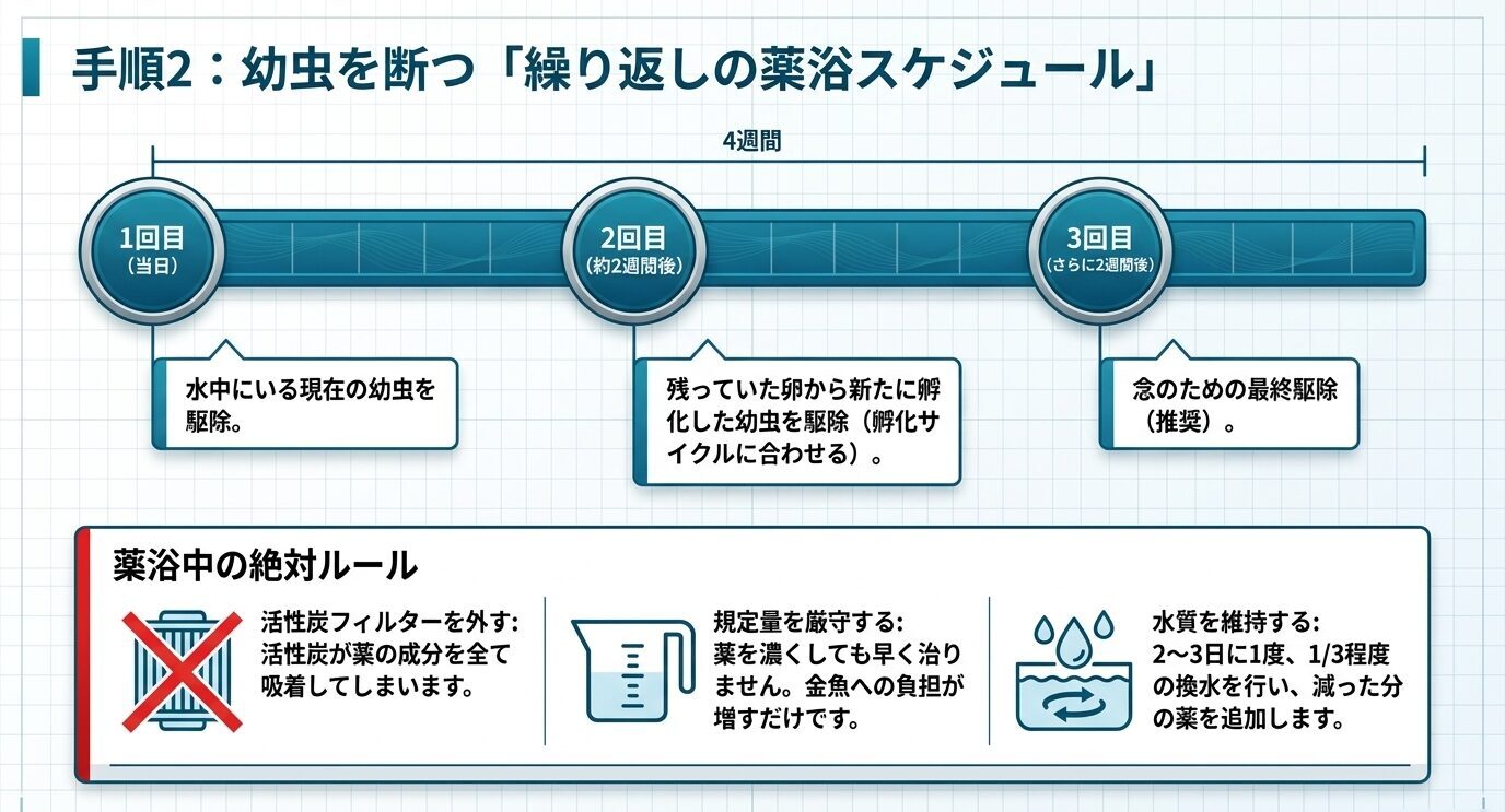 イカリムシの幼虫を断つために、当日、約2週間後、さらに2週間後に薬浴を繰り返すスケジュールと薬浴中の注意点を示した図