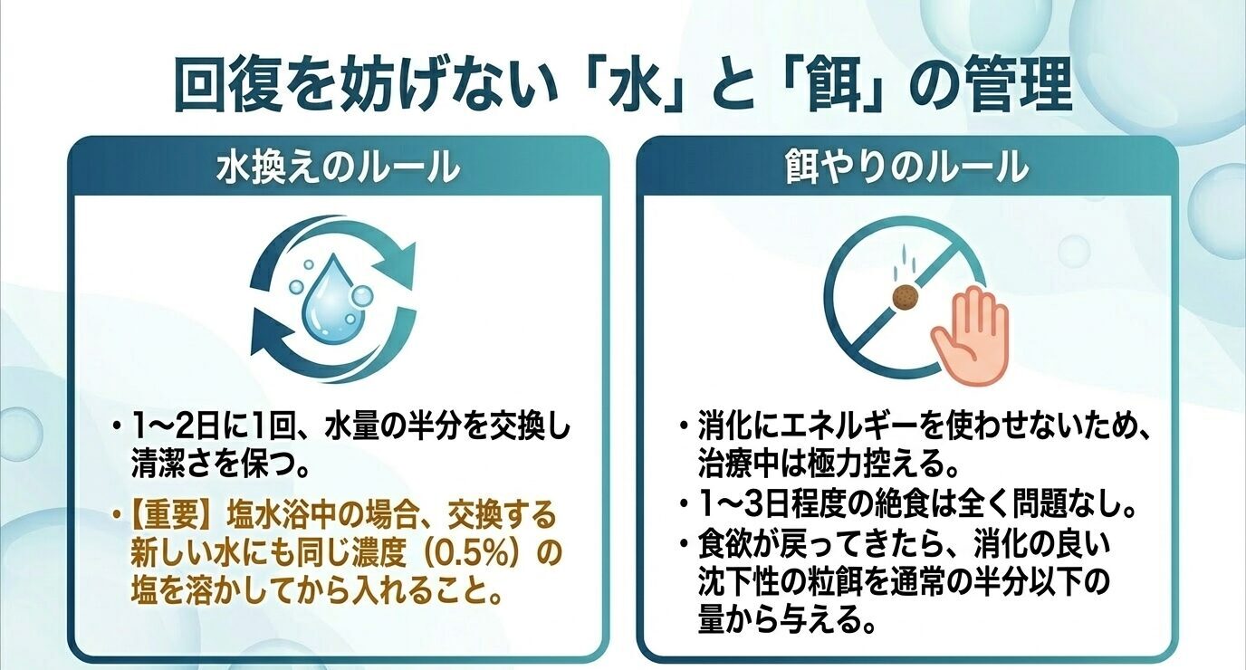 水泡眼の治療中は1〜2日に1回ほど水量の半分を交換し、塩浴中は新しい水にも同じ濃度の塩を溶かし、餌は控えめにして消化の良い沈下性の粒餌を少量与えることを示した図