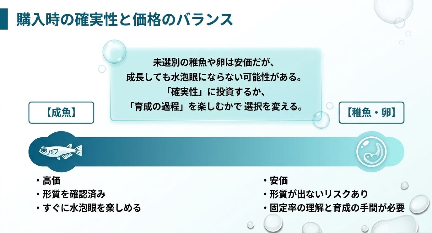 水泡眼メダカの成魚は高価だが形質を確認済みで、稚魚や卵は安価だが水泡眼が出ないリスクがあることを比較した図。