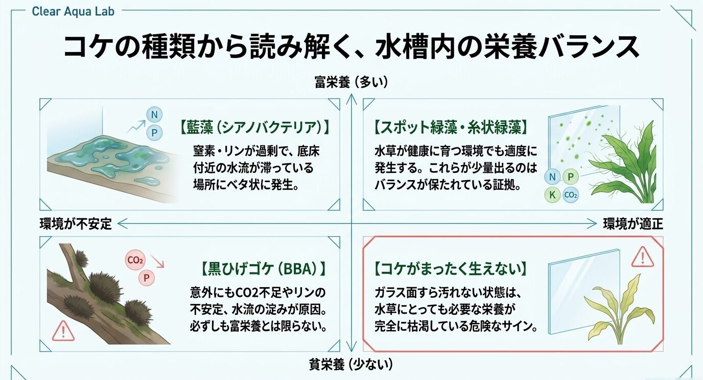 藍藻、スポット緑藻・糸状緑藻、黒ひげゴケ、コケがまったく生えない状態を栄養量と環境安定性の軸で整理した図