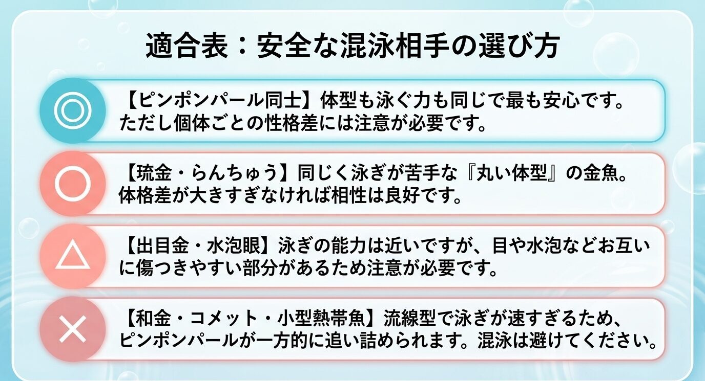 ピンポンパール同士、琉金やらんちゅう、出目金や水泡眼、和金やコメットなど混泳相手の相性を示す適合表