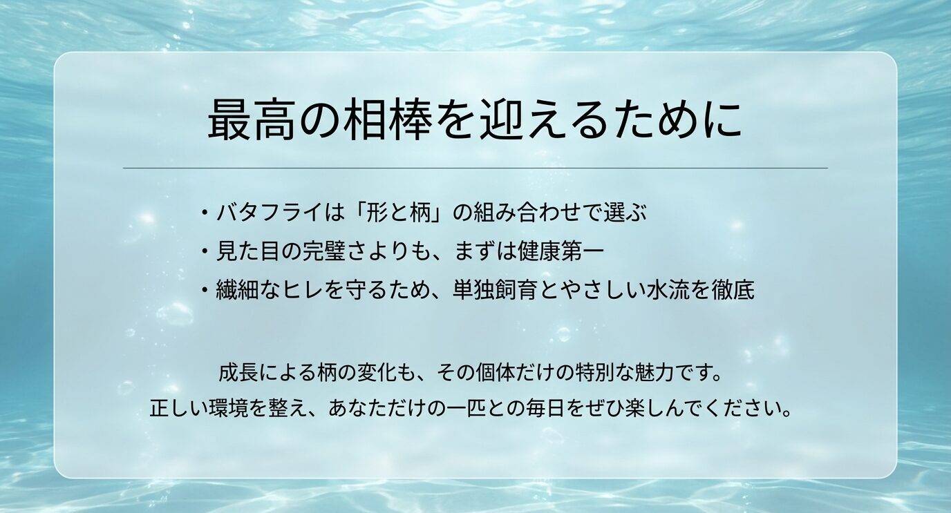 バタフライベタを迎える前に、形と柄の組み合わせ、健康重視、単独飼育とやさしい水流、柄の変化を楽しむことをまとめたスライド