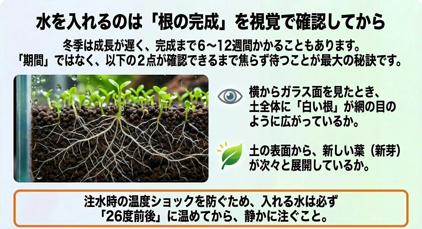 注水前にソイル内へ白い根が広がり、土の表面から新芽が出ているかを確認する判断基準を示した図