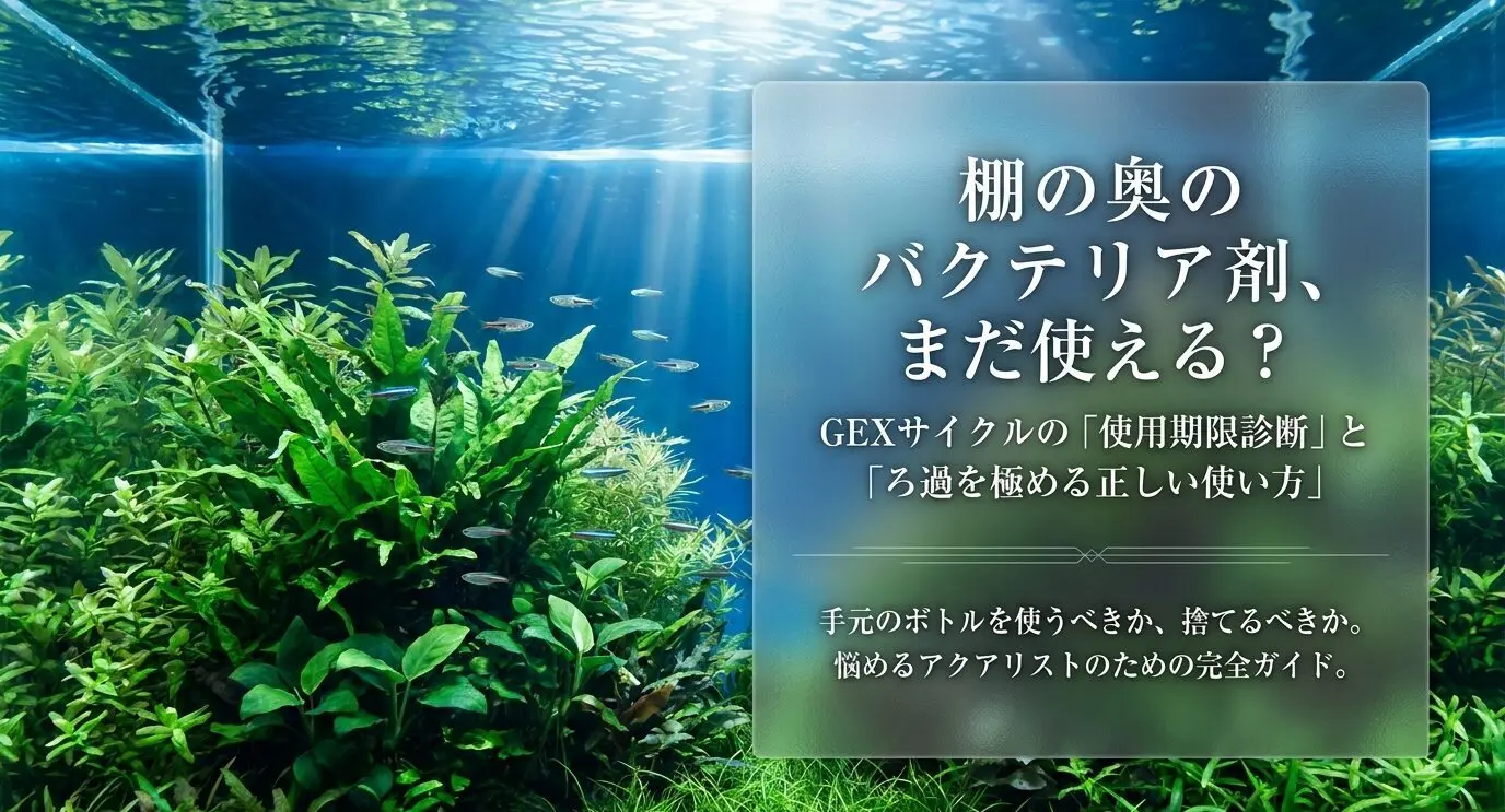 GEXサイクルの使用期限と効果が落ちるサインを解説 | THE AQUA LAB
