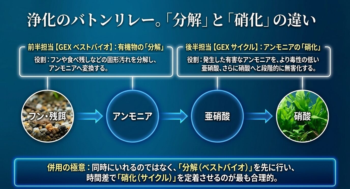 フンや残餌をアンモニアへ分解するベストバイオと、アンモニアを亜硝酸・硝酸へ硝化するGEXサイクルの役割を流れで示したスライド