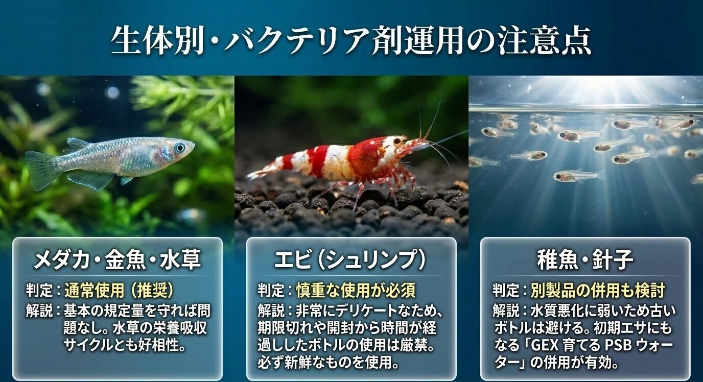 メダカ、金魚、水草、エビ、稚魚・針子でのGEXサイクルや関連バクテリア剤の使い方の注意点を整理したスライド