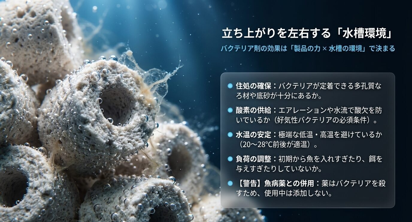 ろ材、酸素、水温、負荷、魚病薬との併用など水槽の立ち上がりを左右する条件をまとめたスライド