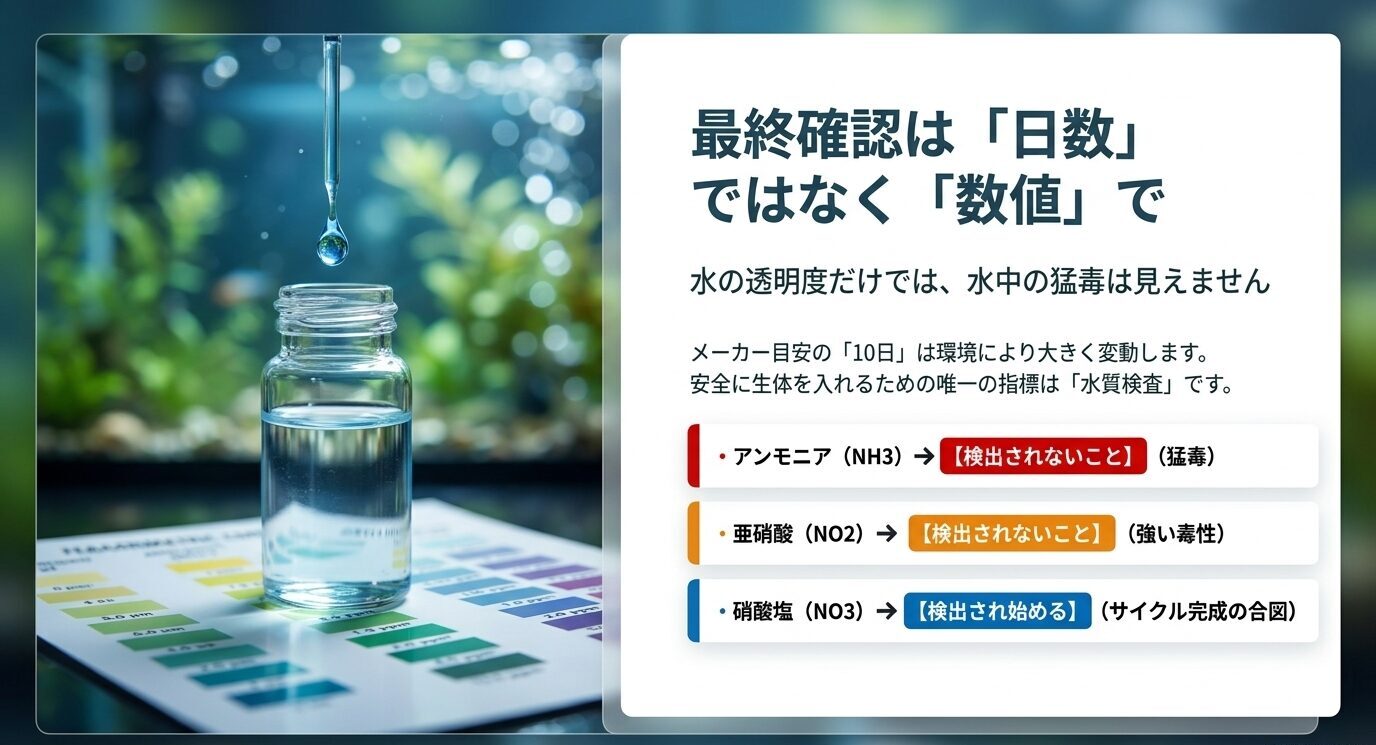 アンモニアと亜硝酸が検出されず硝酸塩が検出され始めることを水質検査で確認する重要性を示したスライド