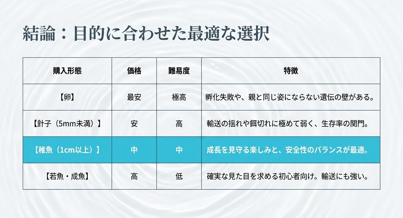 卵、針子、稚魚、若魚成魚の価格や難易度、特徴を比較した表