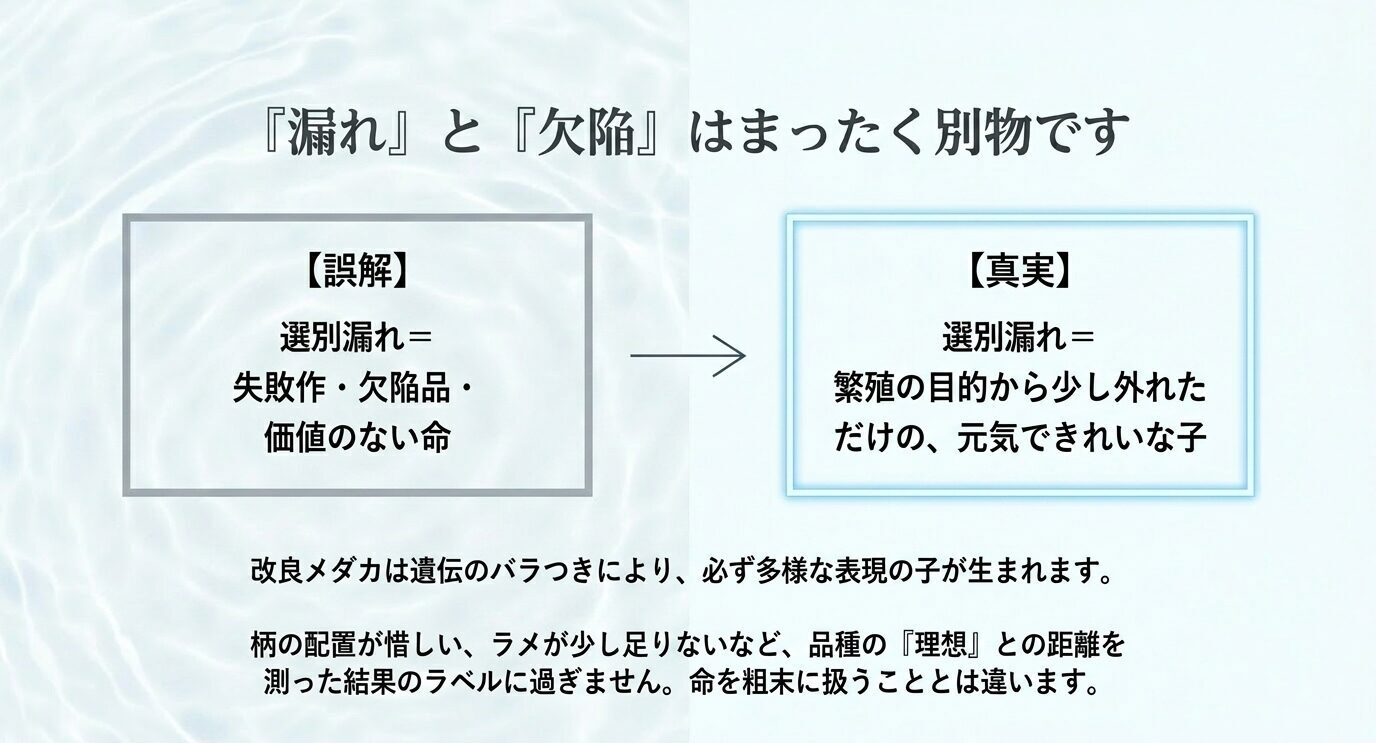 選別漏れは失敗作や欠陥ではなく、繁殖目的から少し外れただけの元気な個体であることを説明するスライド