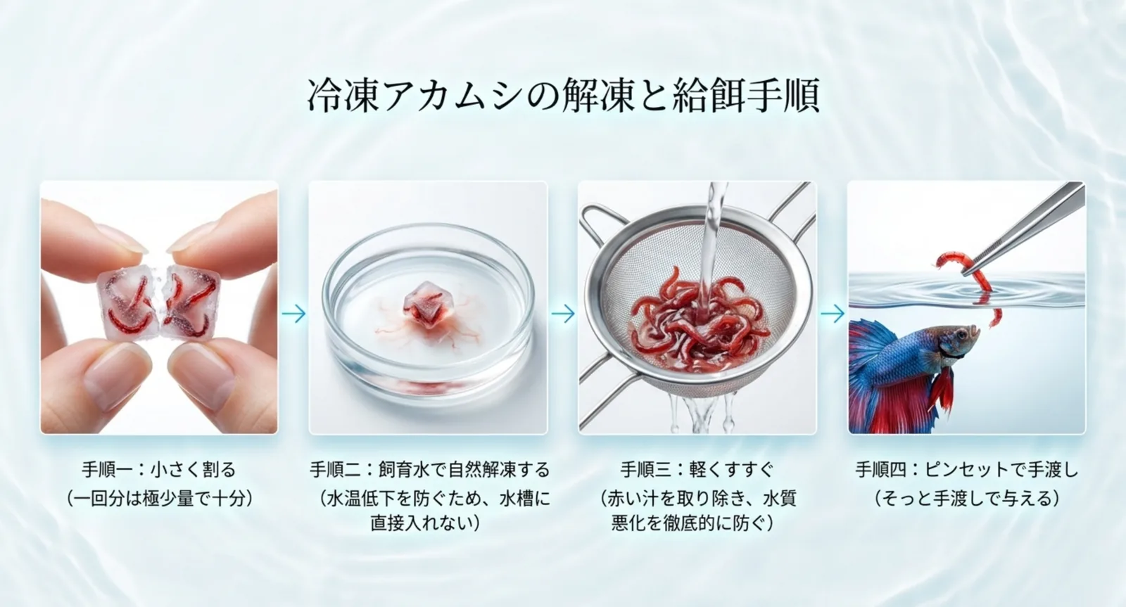 冷凍アカムシを割る・解凍・すすぐ・手渡しする手順を示した図