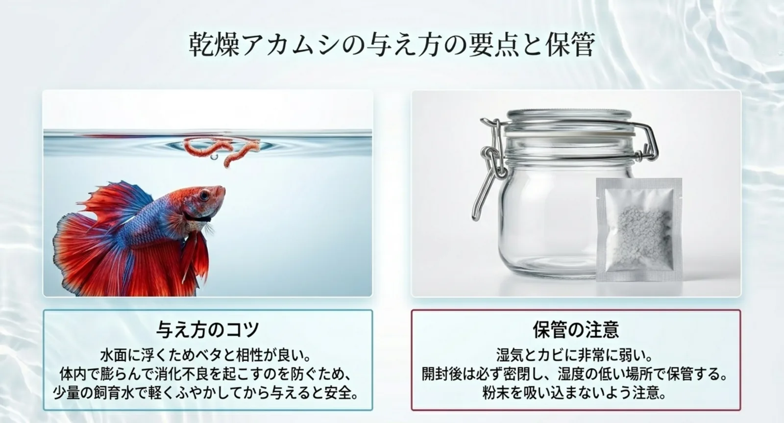 乾燥アカムシのふやかし方と湿気を避ける保管方法を示した図