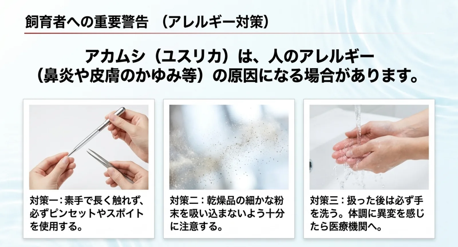 ピンセット使用・粉を吸わない・手を洗うというアカムシのアレルギー対策を示した図