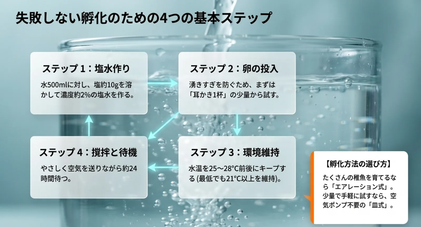 塩水作りから卵の投入・撹拌・待機までブラインシュリンプ孵化の手順
