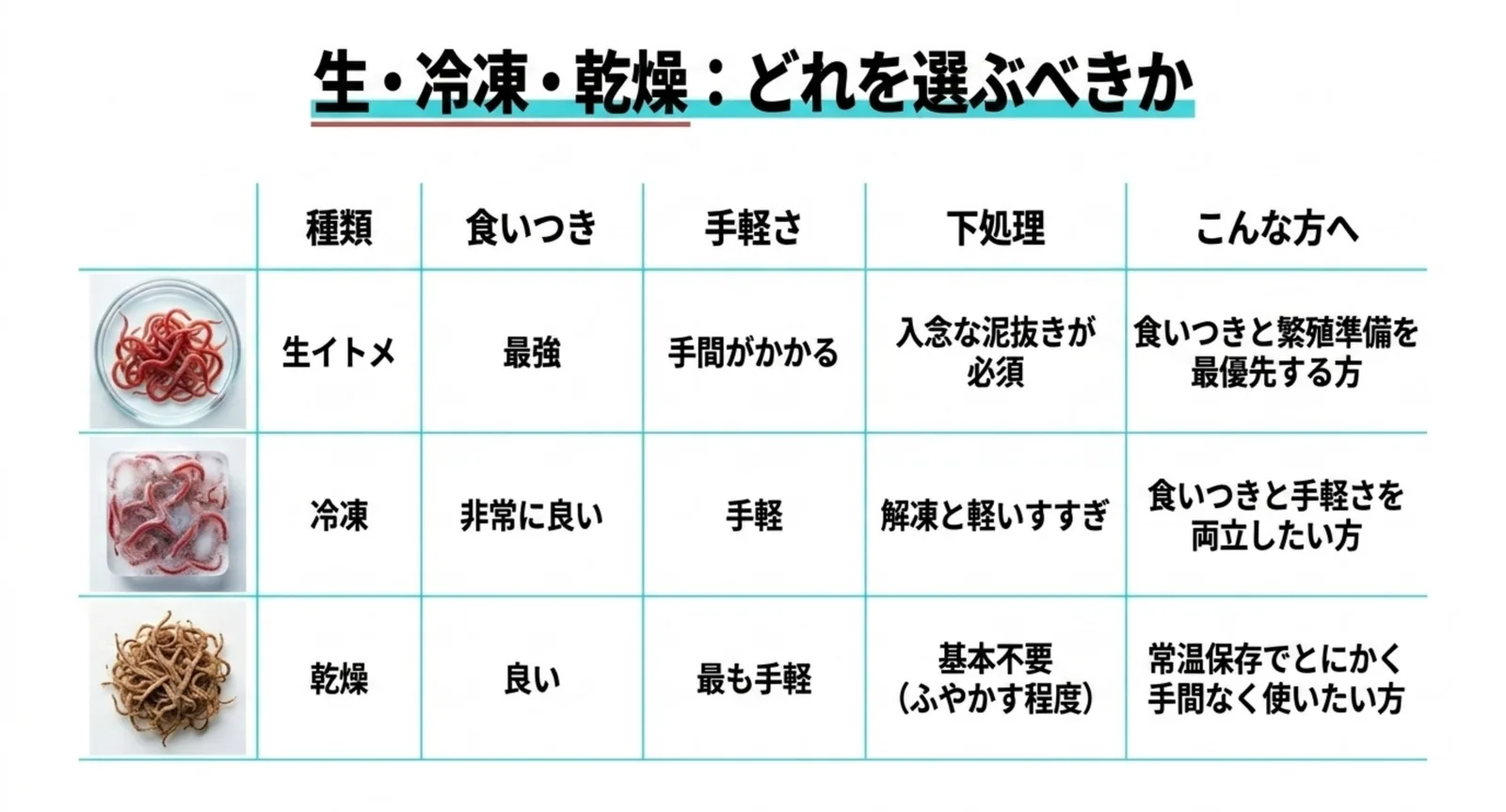 生・冷凍・乾燥イトメの食いつき・手軽さ・下処理を比較した表