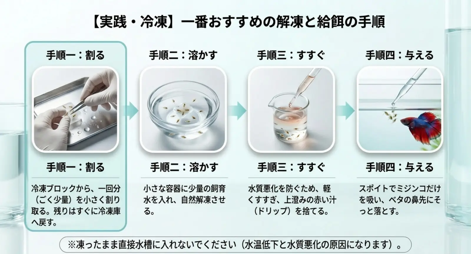 冷凍ミジンコを割る・溶かす・すすぐ・与えるの手順を示した図