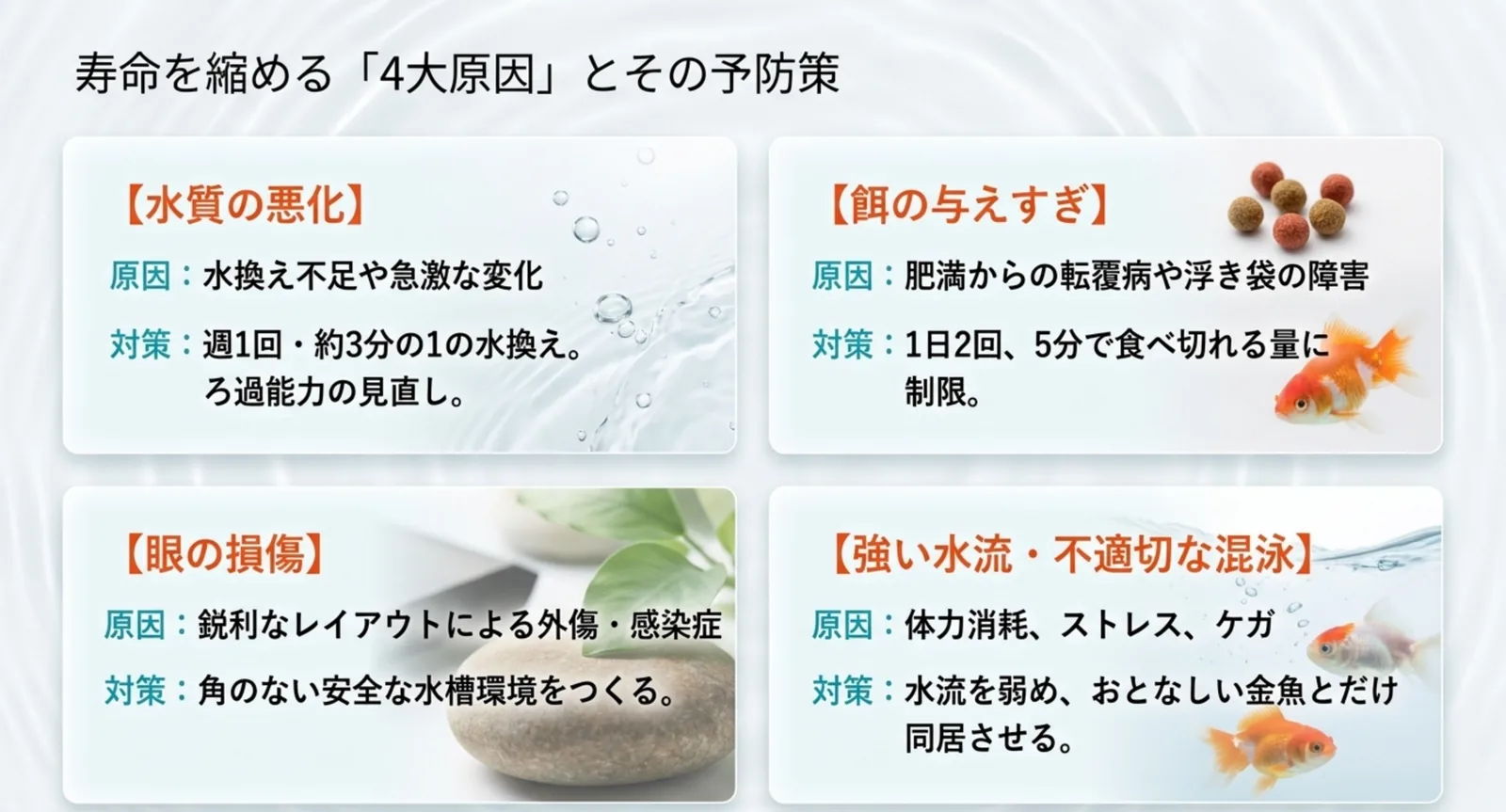 水質悪化・餌の与えすぎ・目の損傷・強い水流の4原因を示した図
