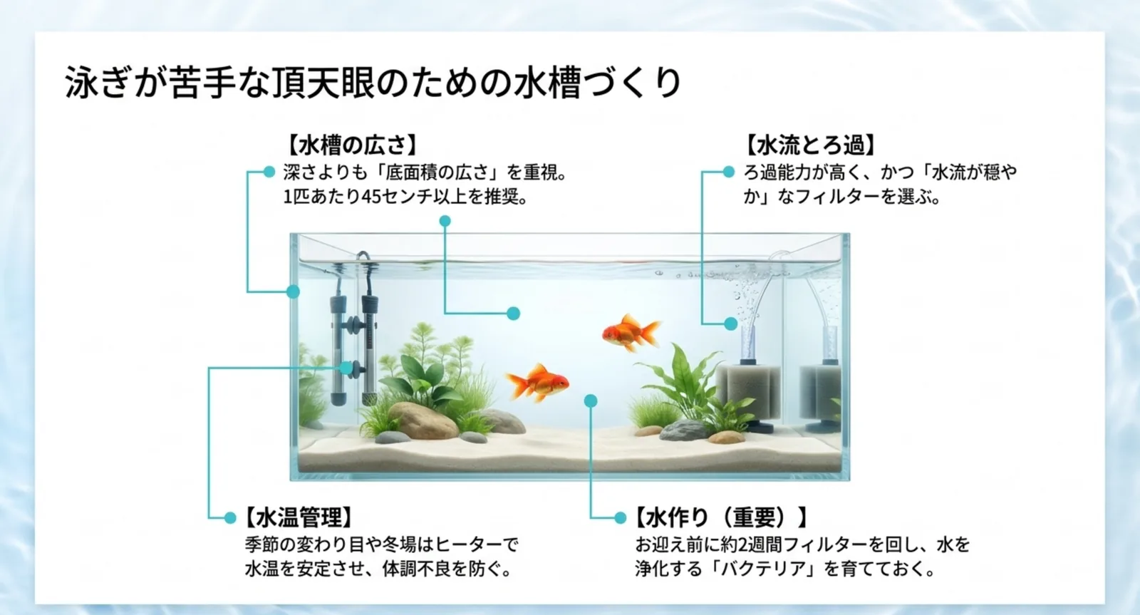 広い底面積・穏やかな水流・水温管理を示した水槽の図