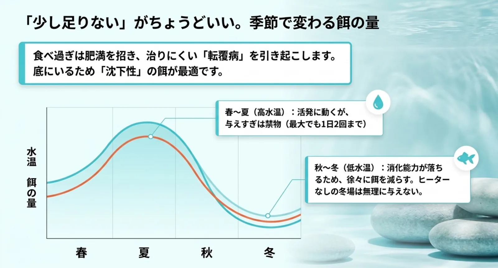 春夏秋冬で変わる水温と餌の量を示したグラフ