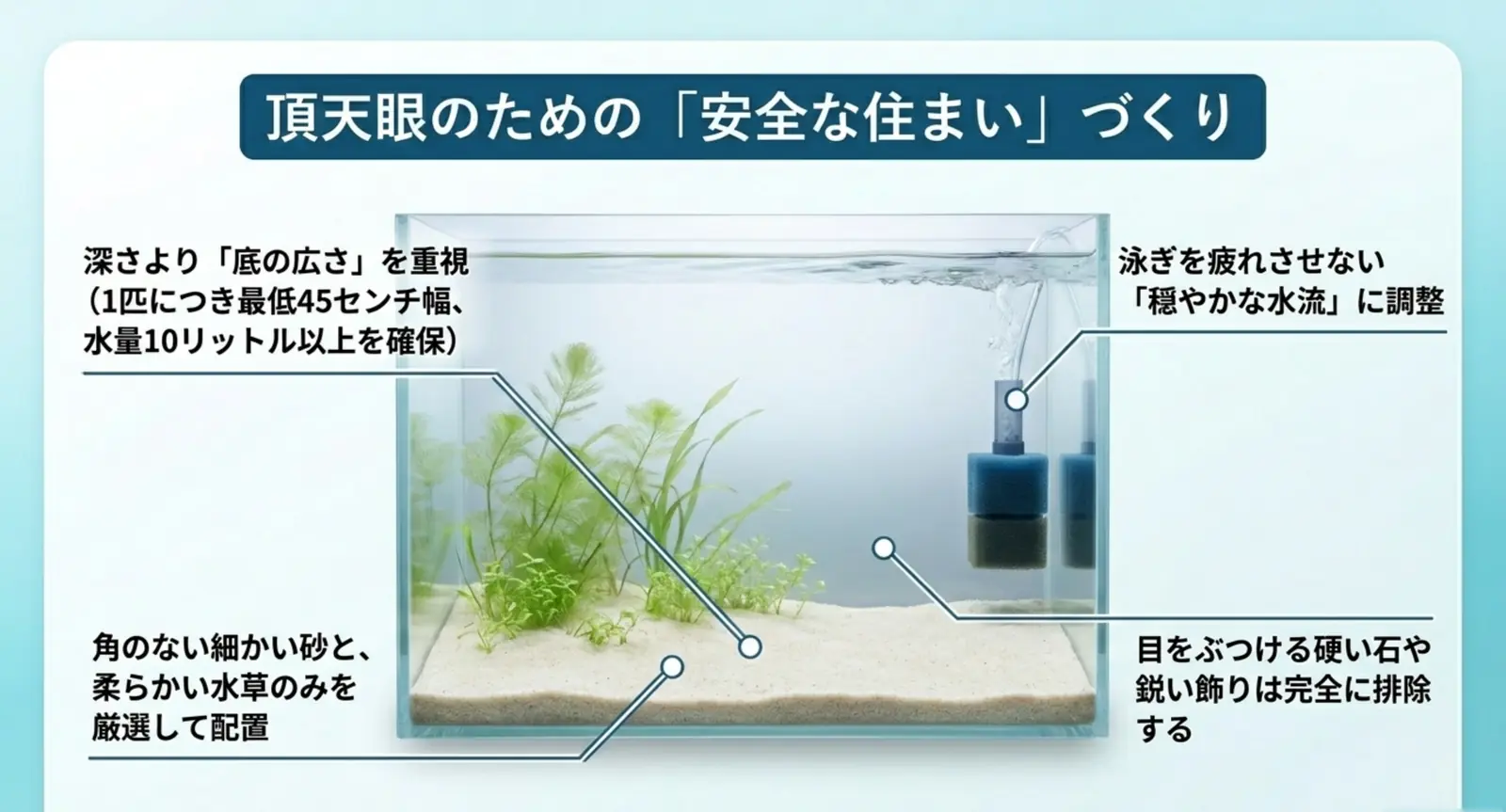 底面積が広く角のない安全な頂天眼向け水槽の図
