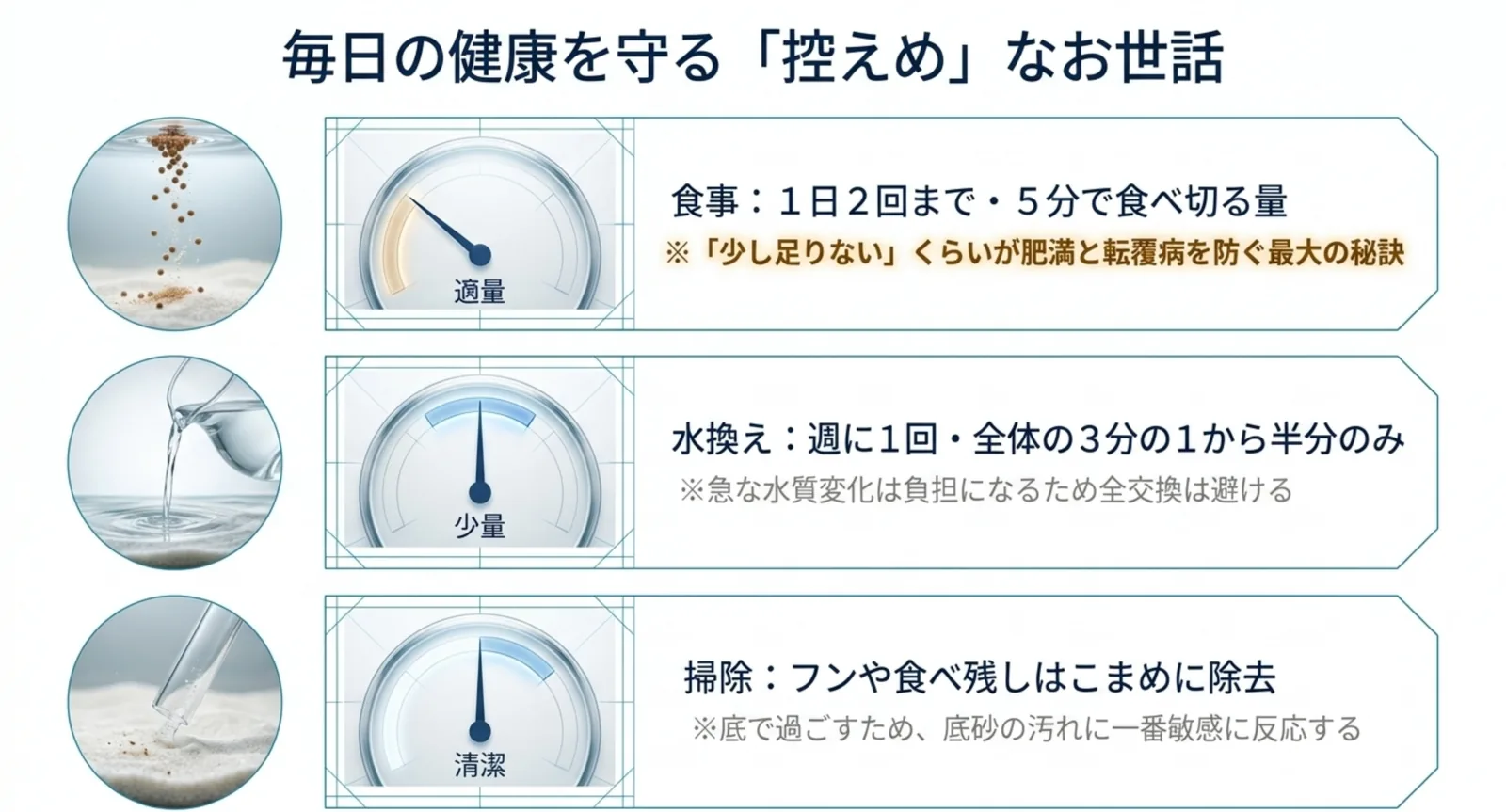 適量の餌・少量の水換え・こまめな掃除を示した図