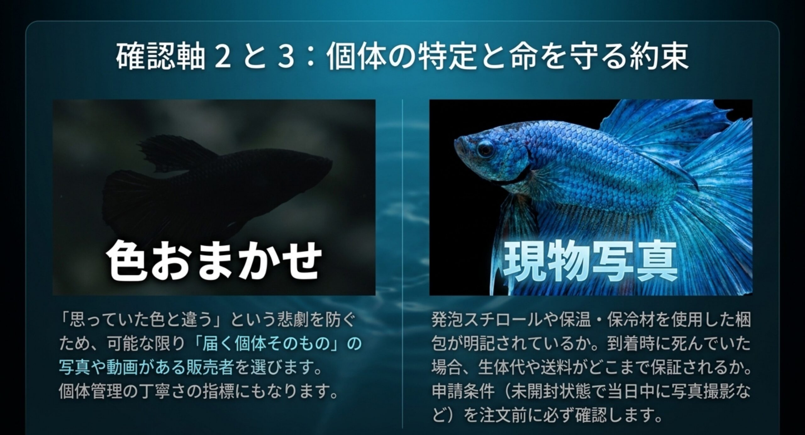 色おまかせと現物写真のベタを並べ、発送梱包と死着保証の確認ポイントを説明するスライド