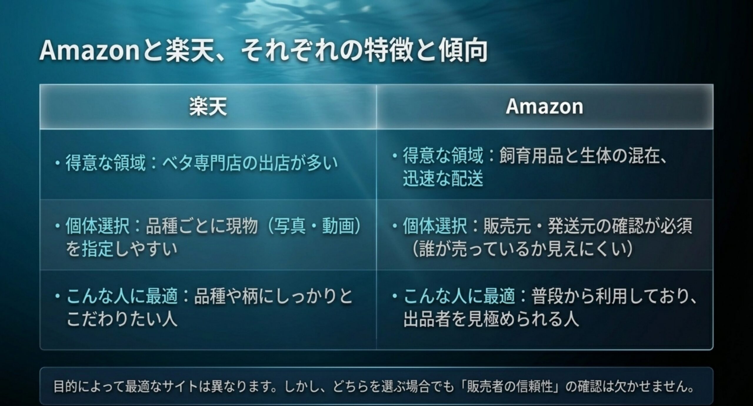 楽天とAmazonでベタの生体を買うときの出店形態や個体選択、向いている人の違いをまとめた比較表のスライド