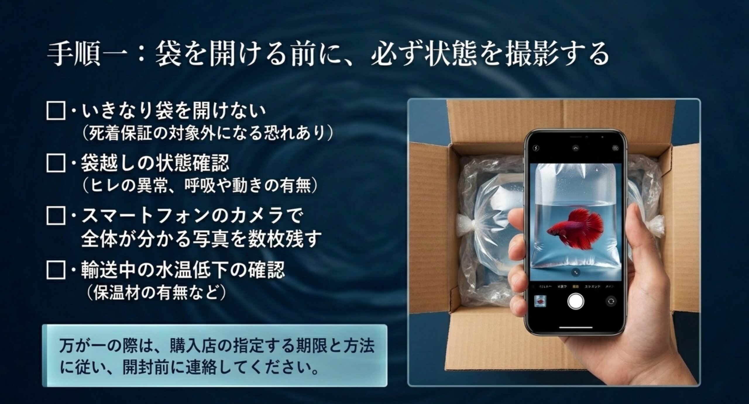 通販で届いたベタの袋を開ける前にスマホで状態を撮影し死着を確認する様子を示したスライド