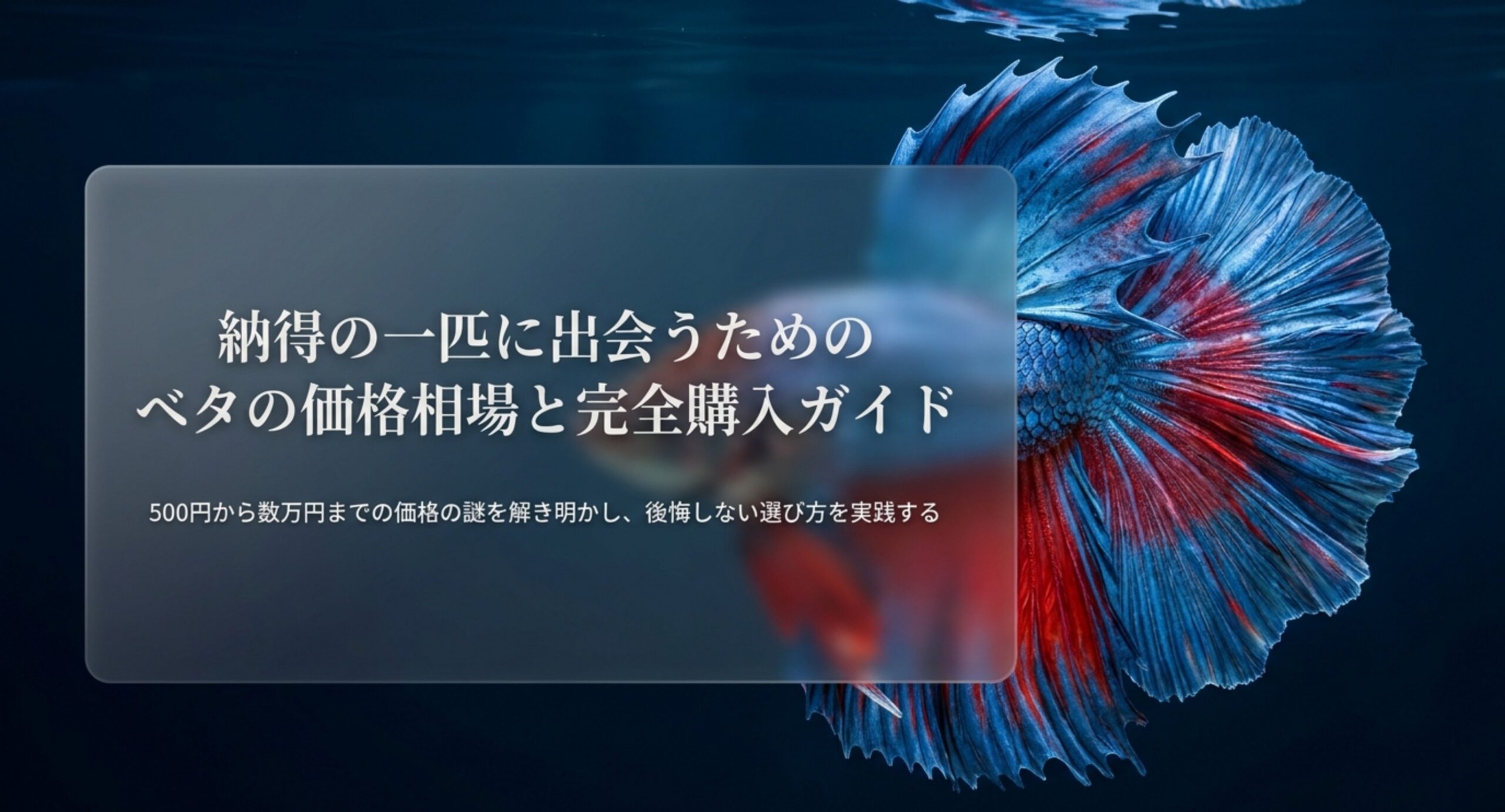 青と赤のベタが泳ぐ水中を背景に、ベタの価格相場と購入ガイドのテーマを示した表紙のスライド