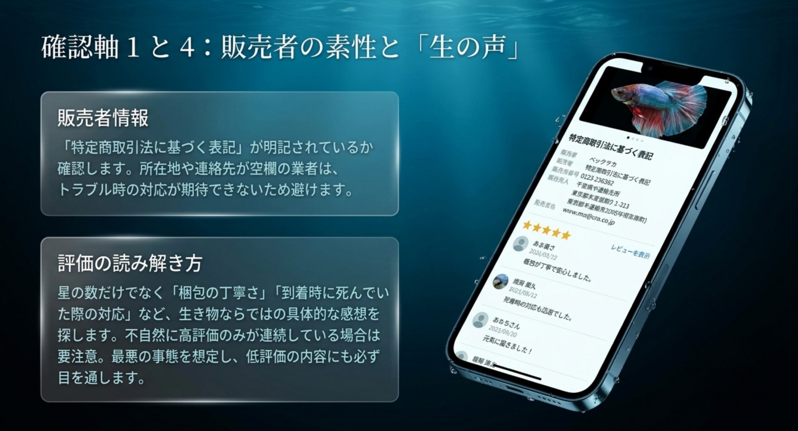 特定商取引法に基づく表記とレビュー画面を例に、販売者情報と評価の読み解き方を説明するスライド