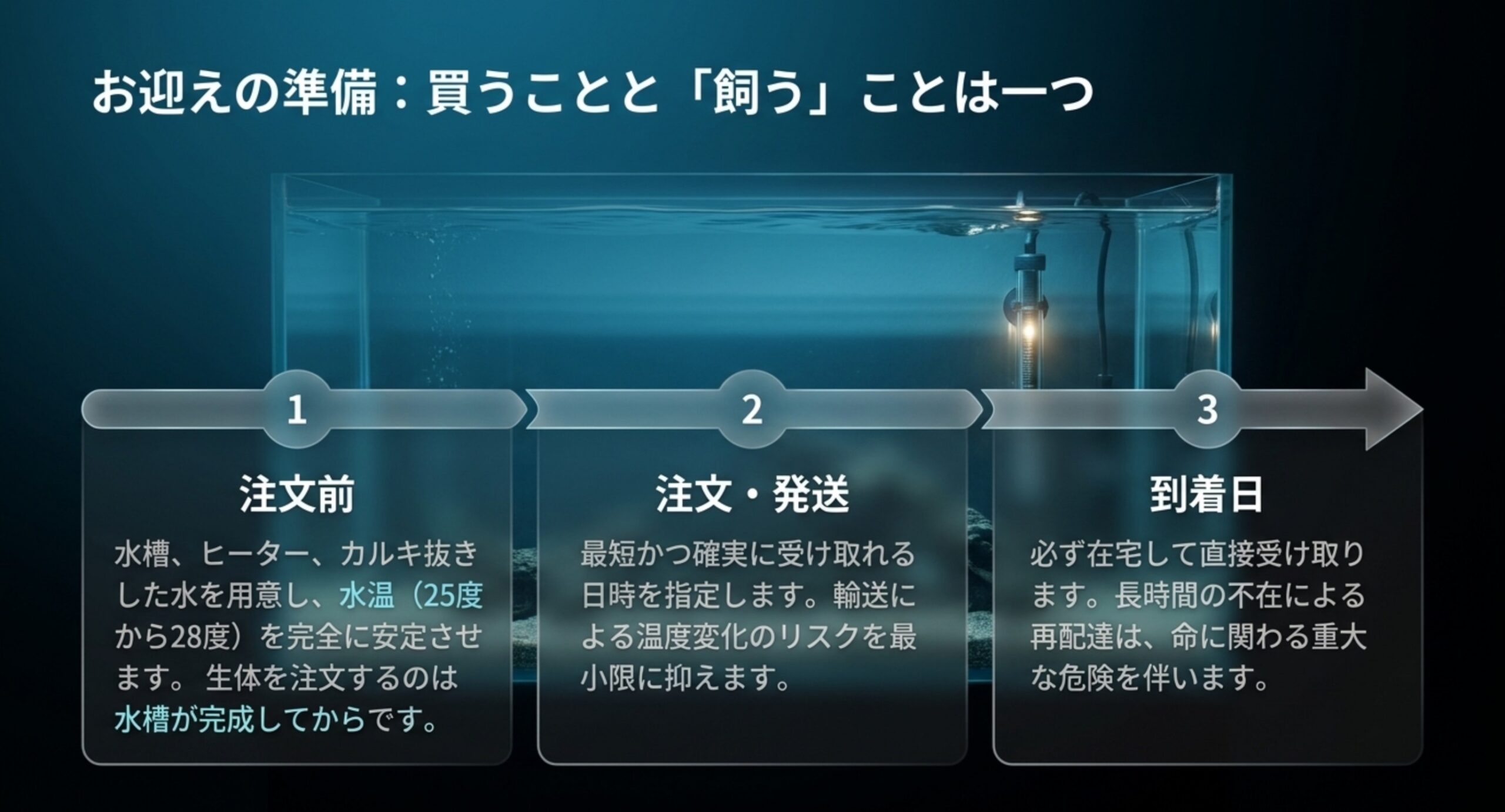 注文前の準備・注文と発送・到着日という、ベタを迎えるまでの流れを3ステップで示したスライド
