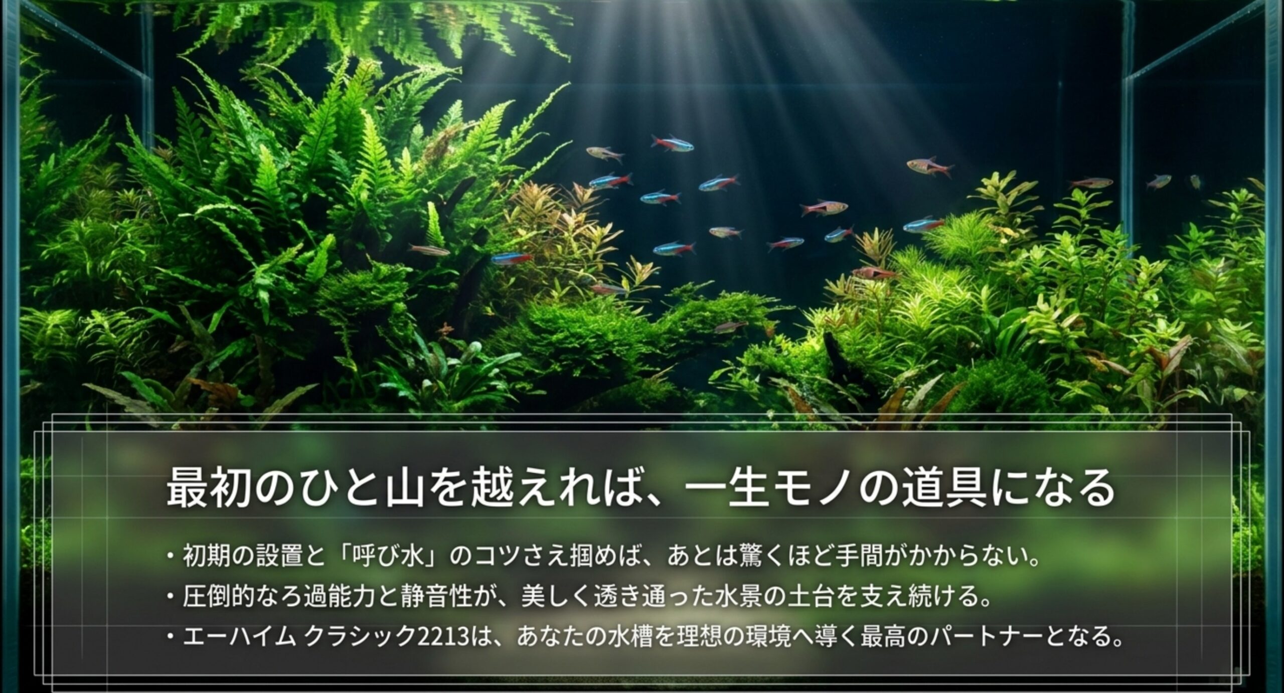 光が差し込む緑豊かな水草水槽とエーハイム クラシック2213のまとめスライド