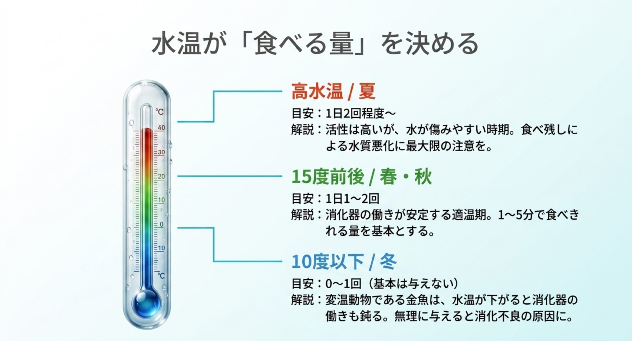 夏・春秋・冬の水温帯ごとに金魚の餌やりの回数と量の目安を温度計で示したスライド