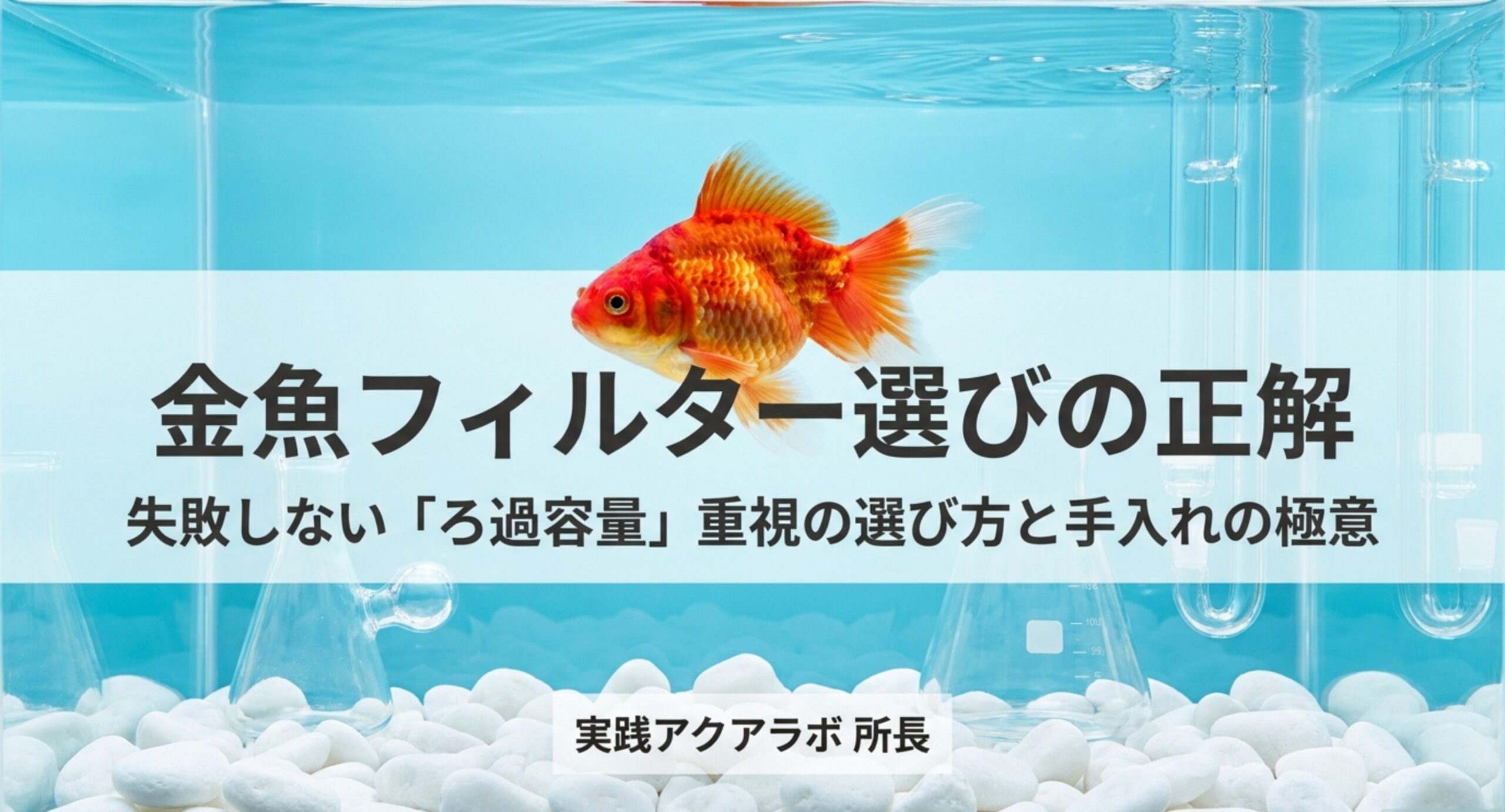 金魚が泳ぐ水槽を背景に「金魚フィルター選びの正解」と大きく書かれた記事の表紙スライド