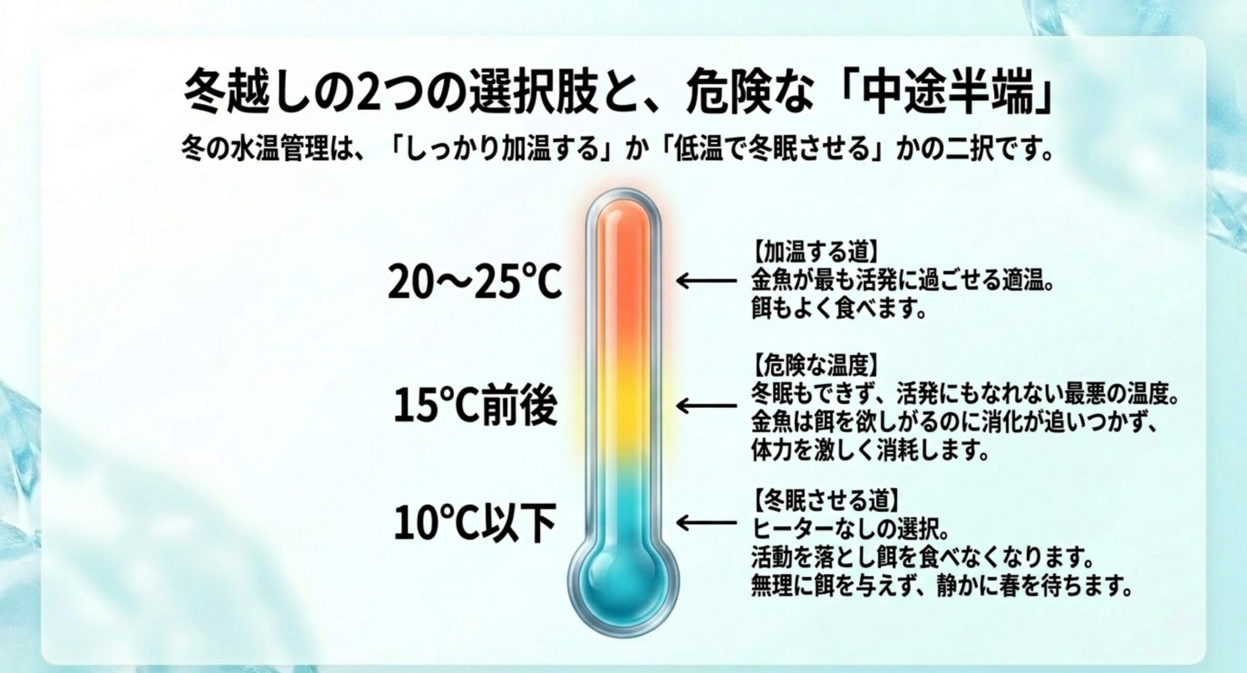 20〜25℃の加温と10℃以下の冬眠、15℃前後の中途半端な加温の危険を示した水温のスライド