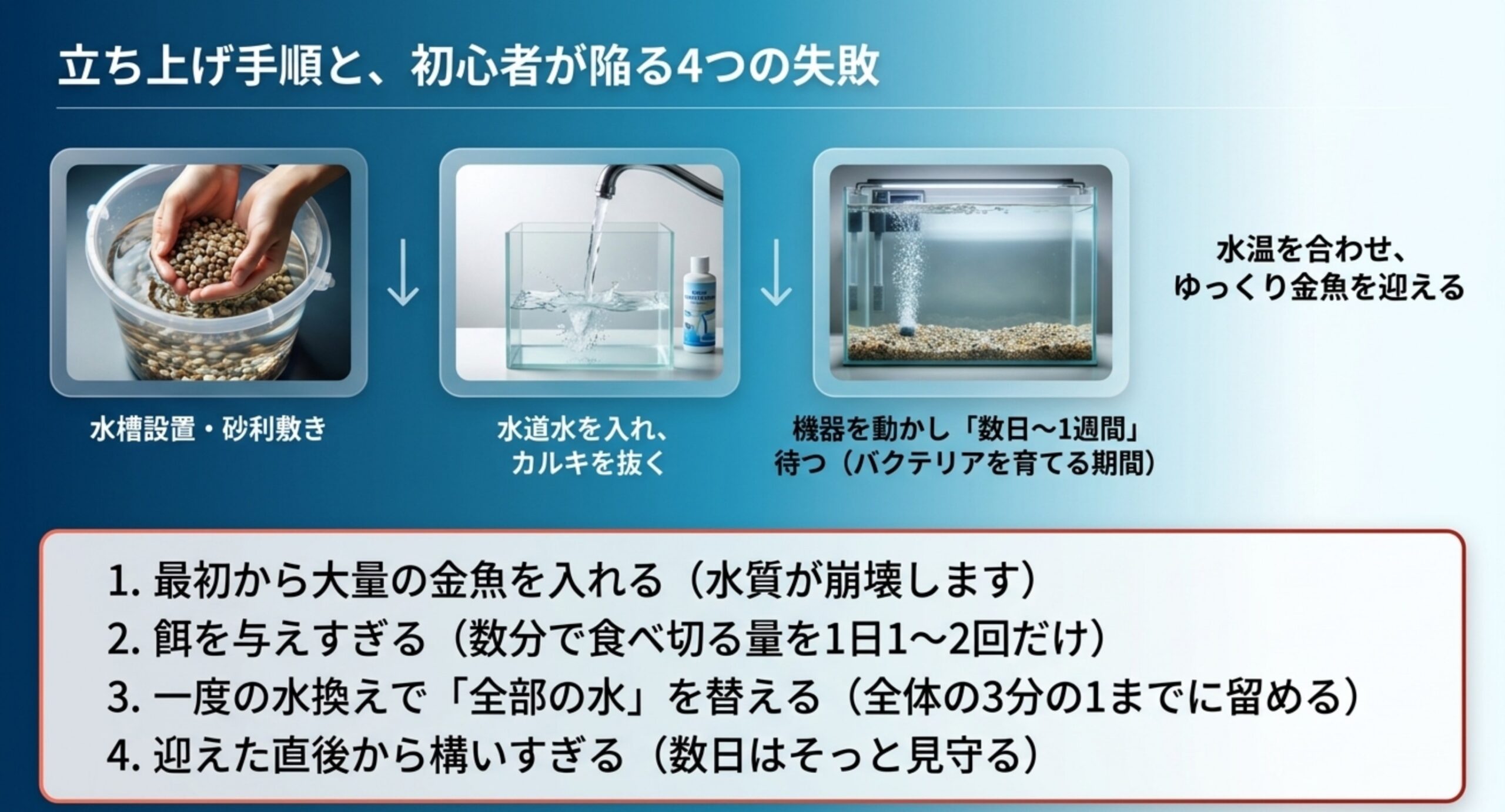 水槽の立ち上げ手順と、初心者がやりがちな4つの失敗をまとめたスライド