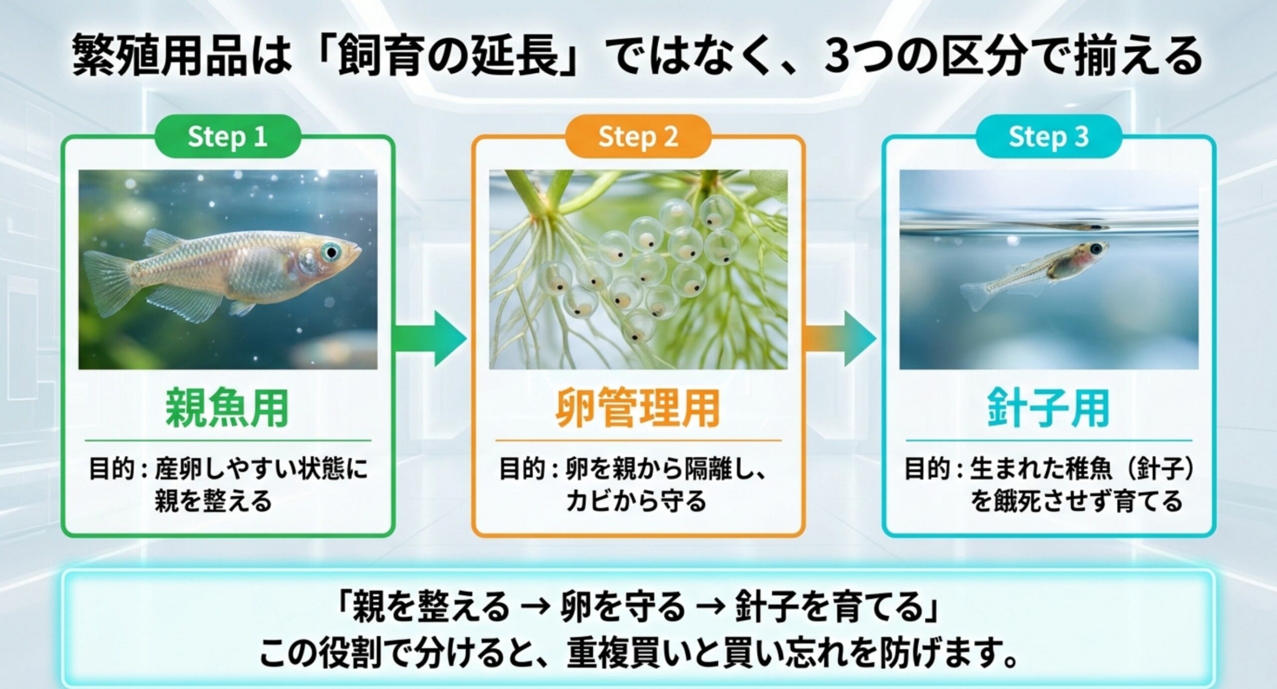 繁殖用品を親魚用・卵管理用・針子用の3つの区分に分け、それぞれの目的を矢印で示したスライド