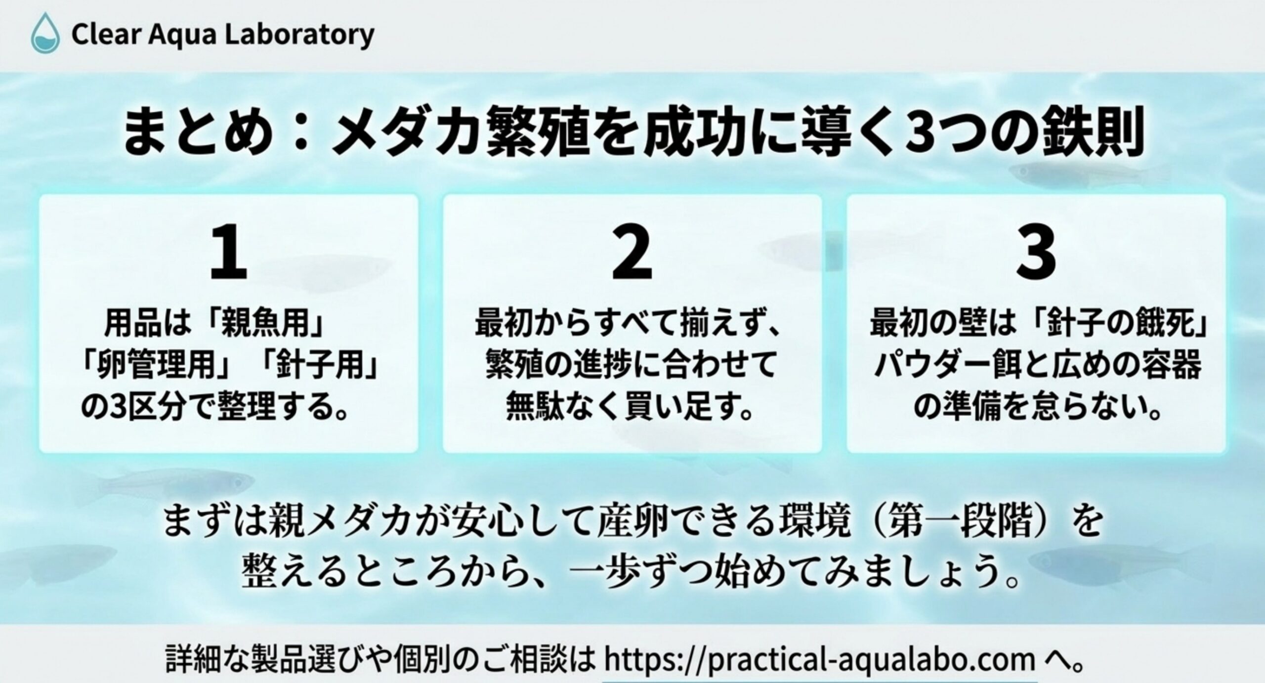 用品は3区分・進捗に合わせて買い足す・針子の餓死対策という繁殖成功の3つの鉄則をまとめたスライド