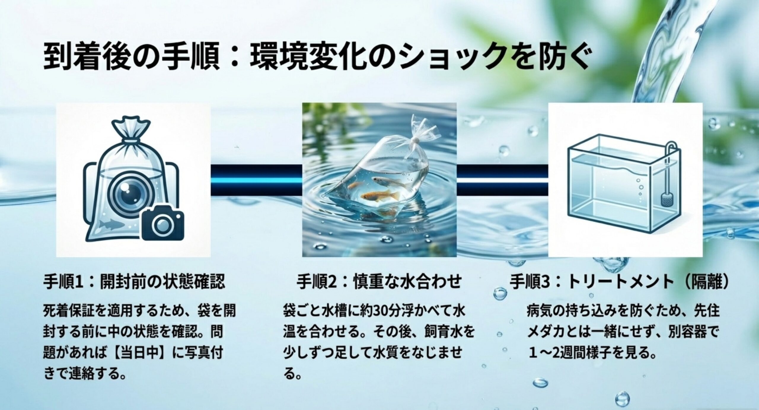 開封前の状態確認・水合わせ・トリートメント隔離という到着後の3つの手順を示したスライド