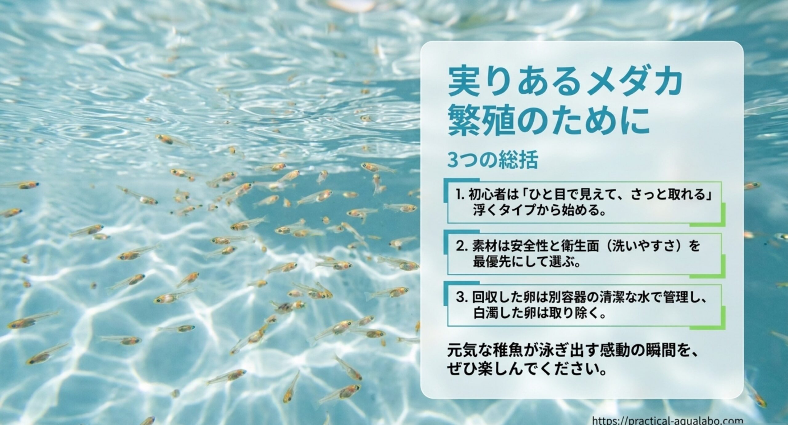 浮くタイプ・素材の安全性・卵の清潔な管理というメダカ産卵床選びのまとめのスライド