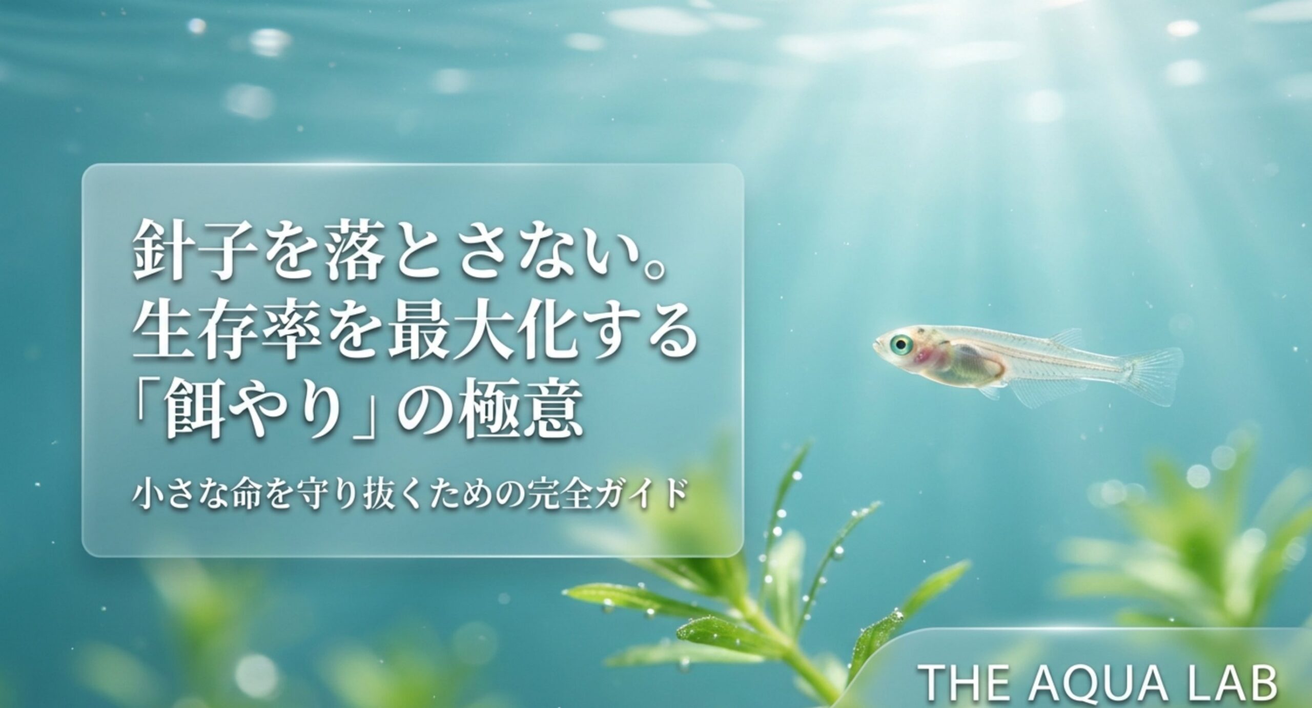 水草の間を泳ぐメダカの針子（稚魚）のイメージ
