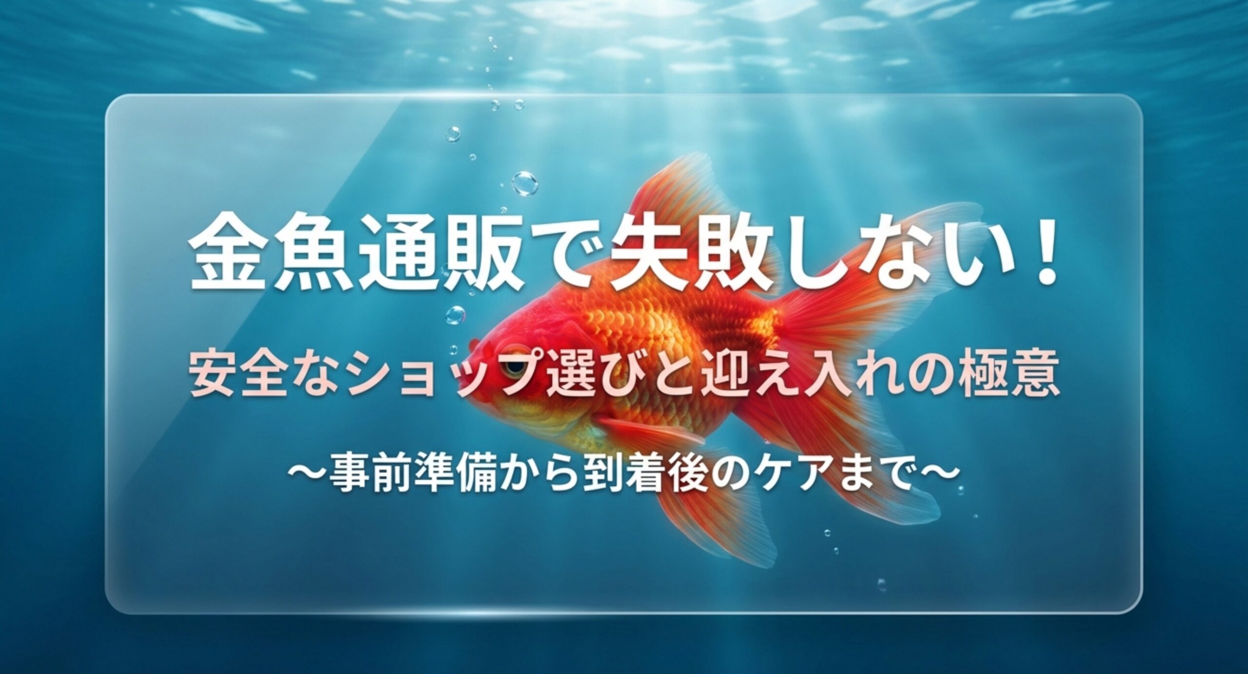 金魚通販で失敗しないための安全なショップ選びと迎え入れの極意を解説する表紙