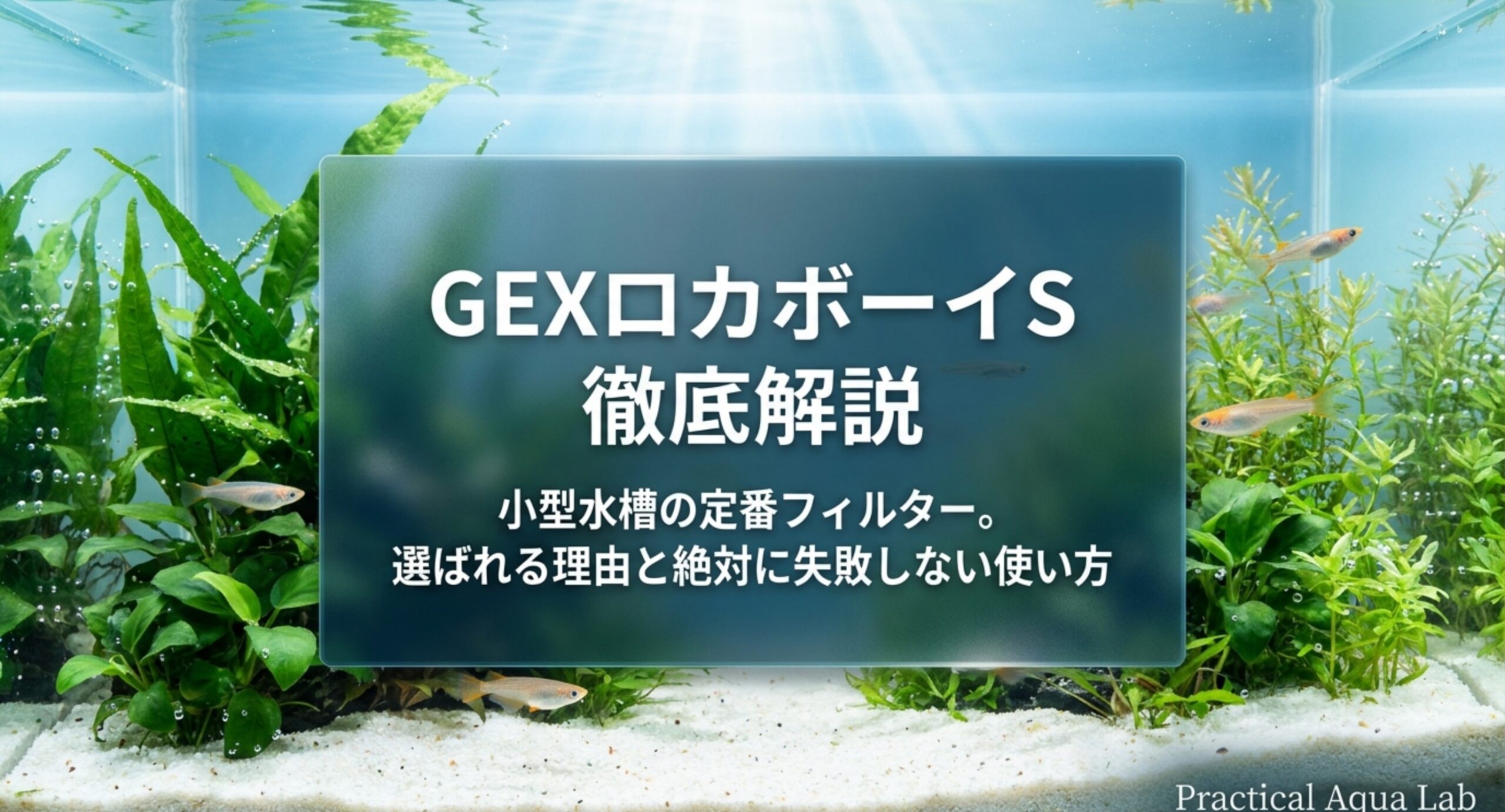 GEXロカボーイSを設置した小型水槽のイメージと記事タイトル