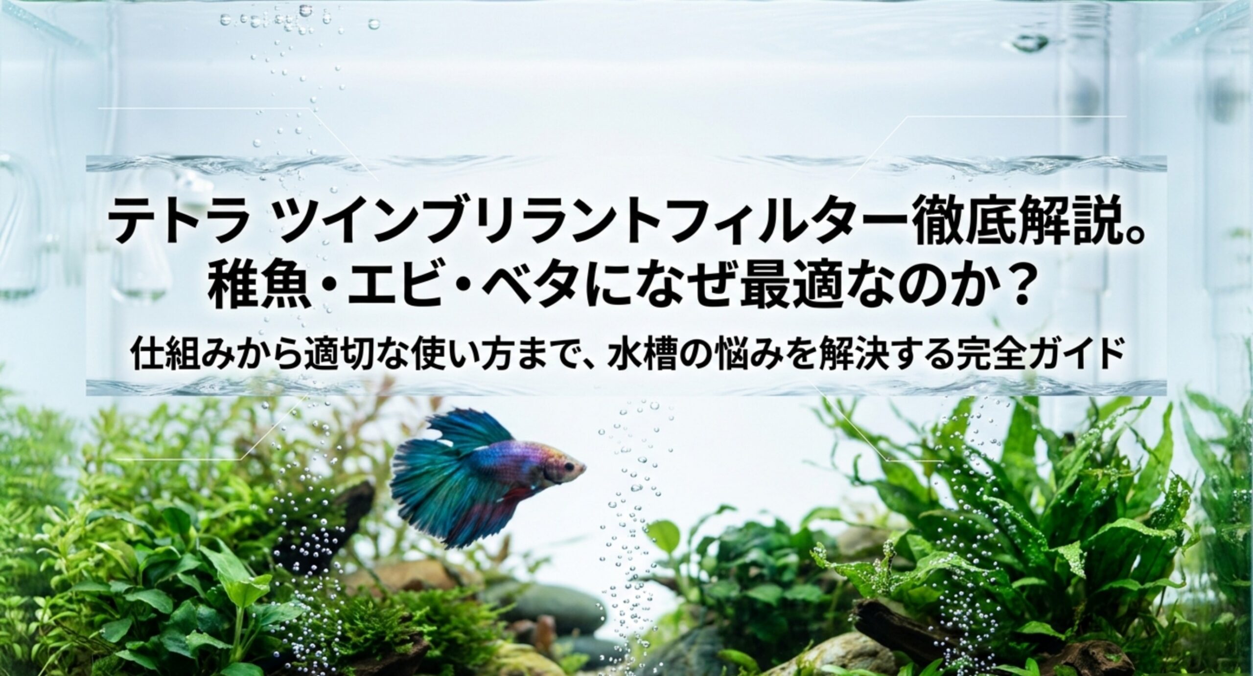 テトラ ツインブリラントフィルターを設置した水槽でベタが泳ぐイメージ