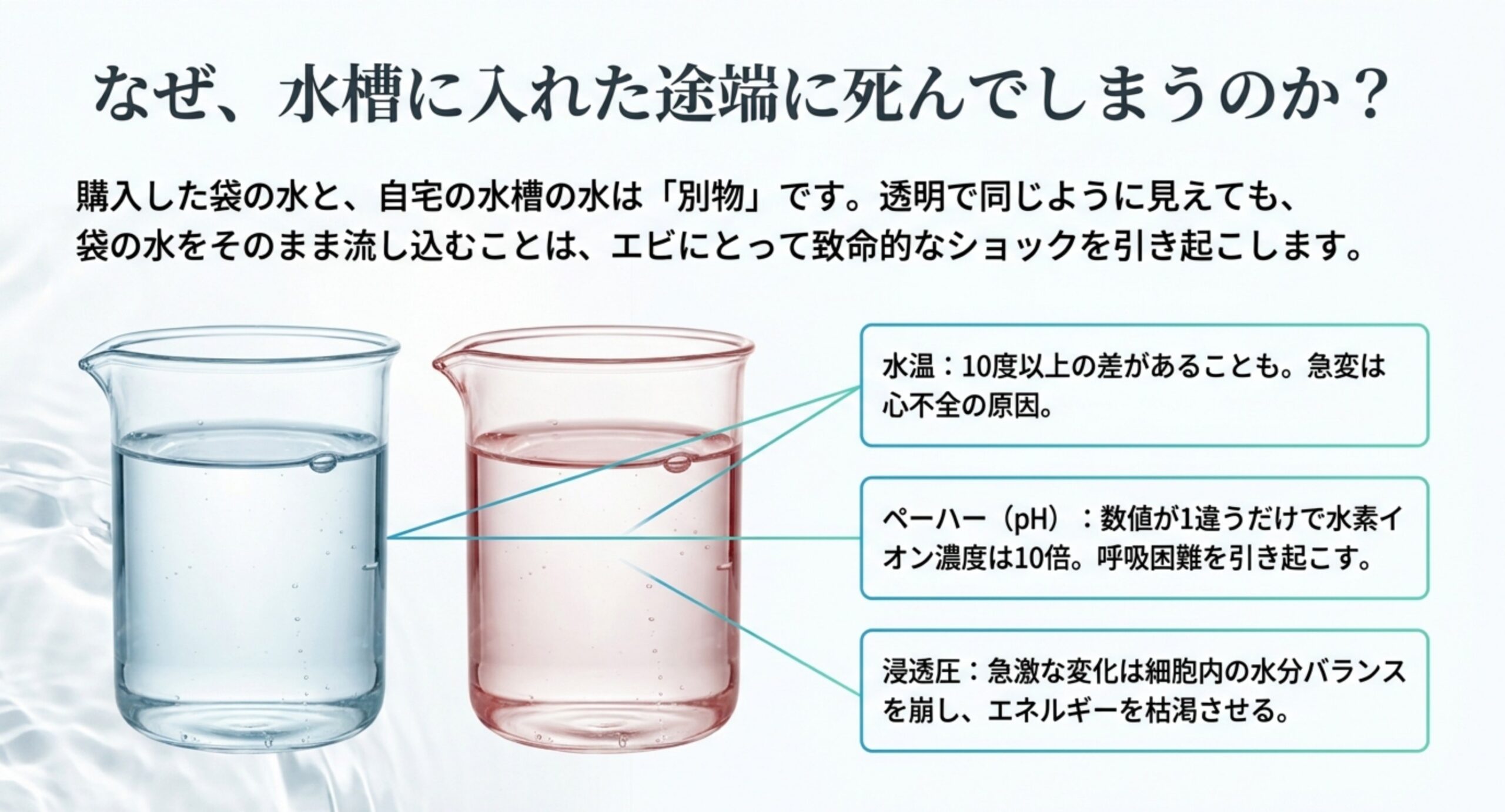 袋の水と水槽水の違いを2つのビーカーで示し水温・pH・浸透圧の差がエビに与えるショックを説明する図解